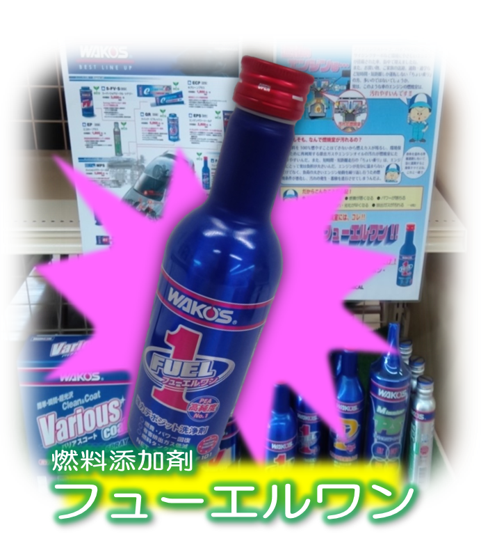 WAKO'S(ﾜｺｰｽﾞ)製品イロイロアリマス（＾ω＾） | 店舗おススメ情報