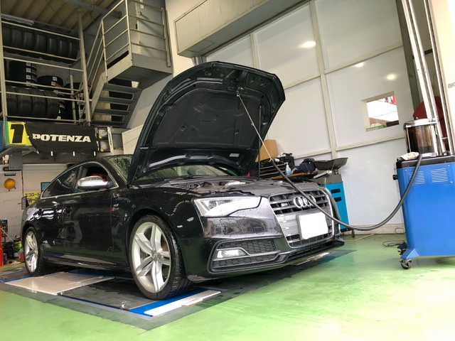 エンジンオイルパン用 ドレンボルト アウディ 8FCALF RS5 8FCFSF S5 A5 8FCGWF 8TCGWL 8FCAKF