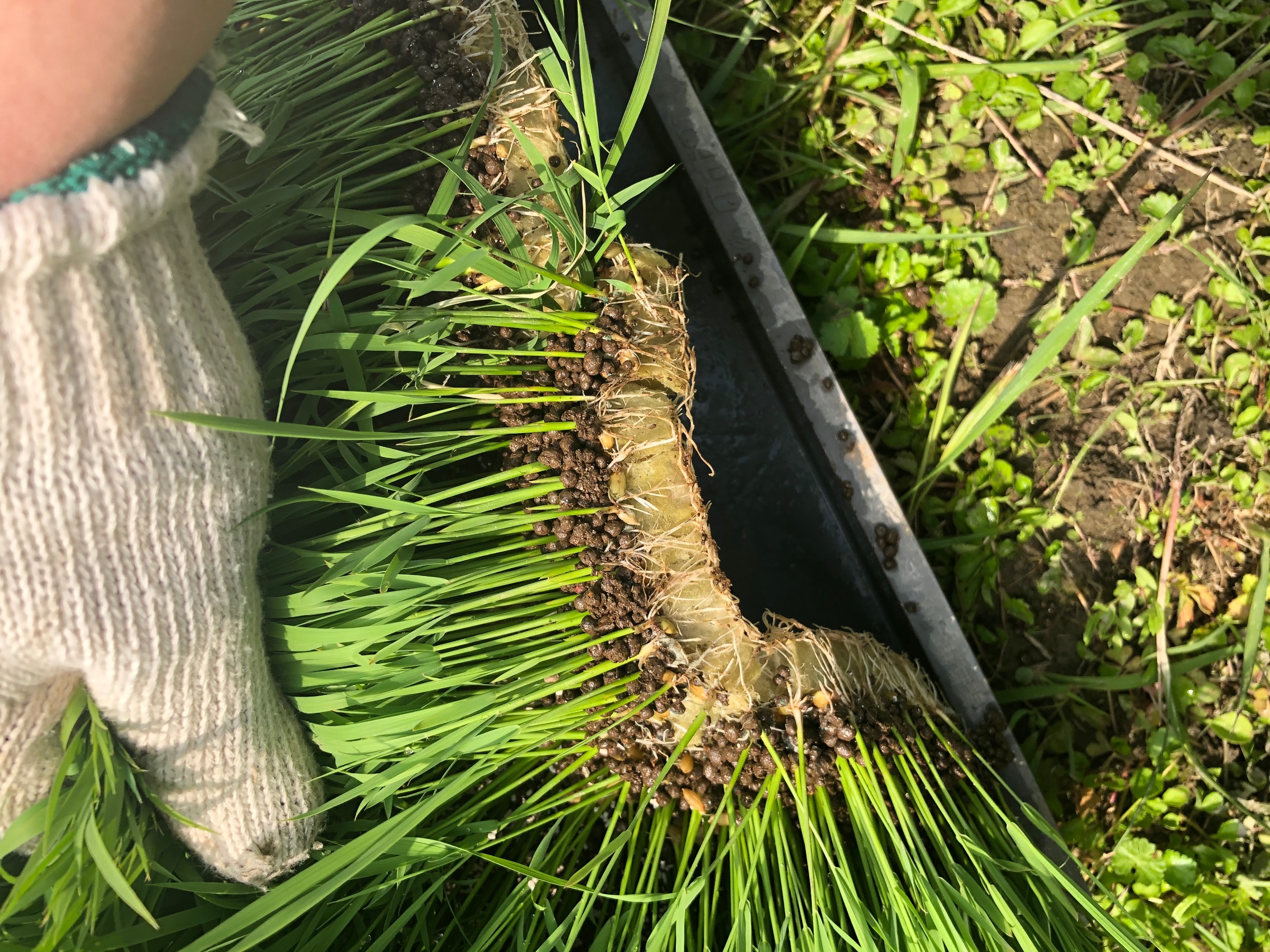 自分が撮影してます