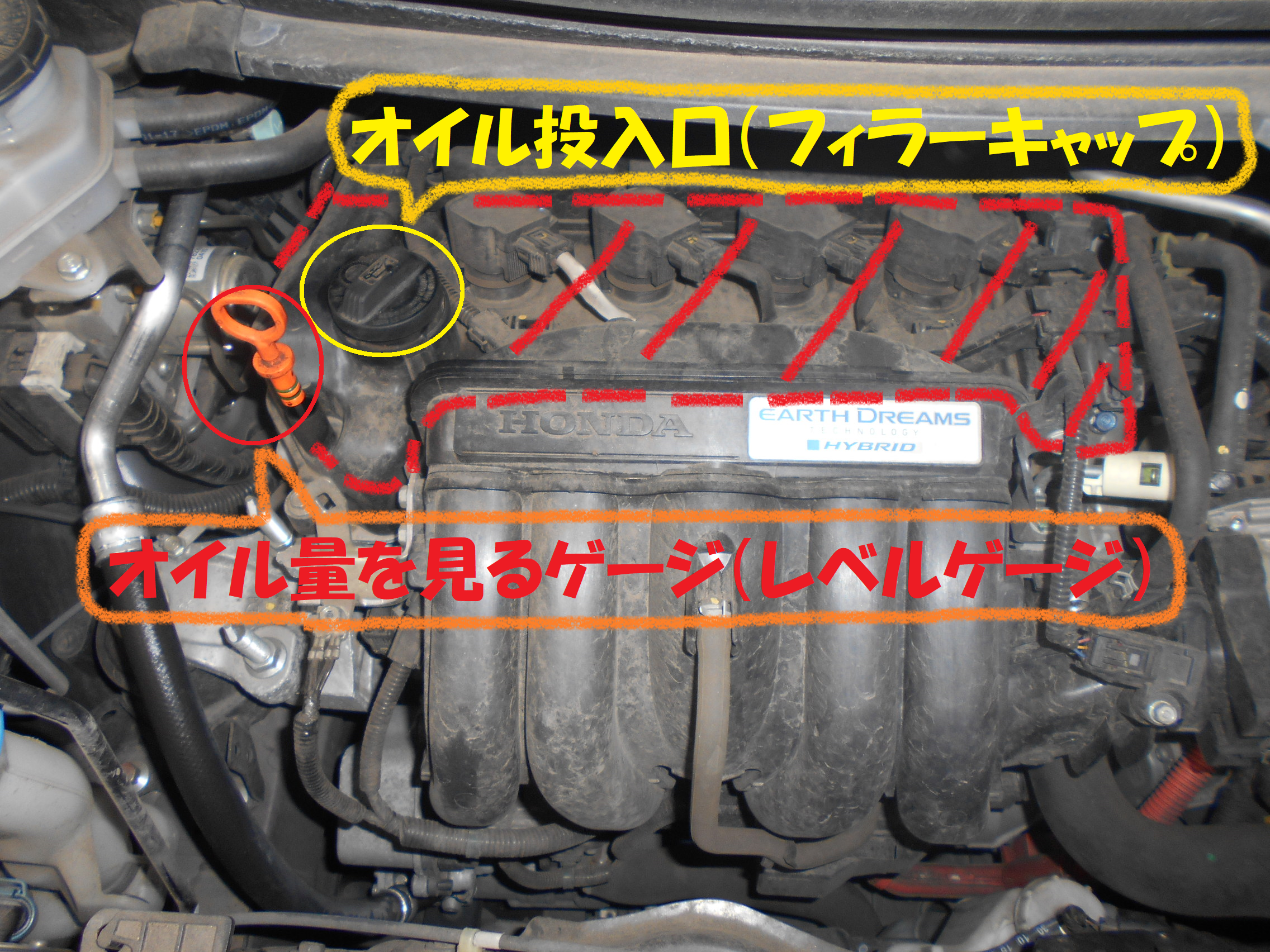 ホンダ フリード ｈ ｖ エンジンオイル交換作業です その ホンダ フリード メンテナンス商品 オイル関連 エンジンオイル交換 総和店こだわり作業 タイヤ館 総和 茨城県のタイヤ カー用品ショップ タイヤからはじまる トータルカーメンテナンス