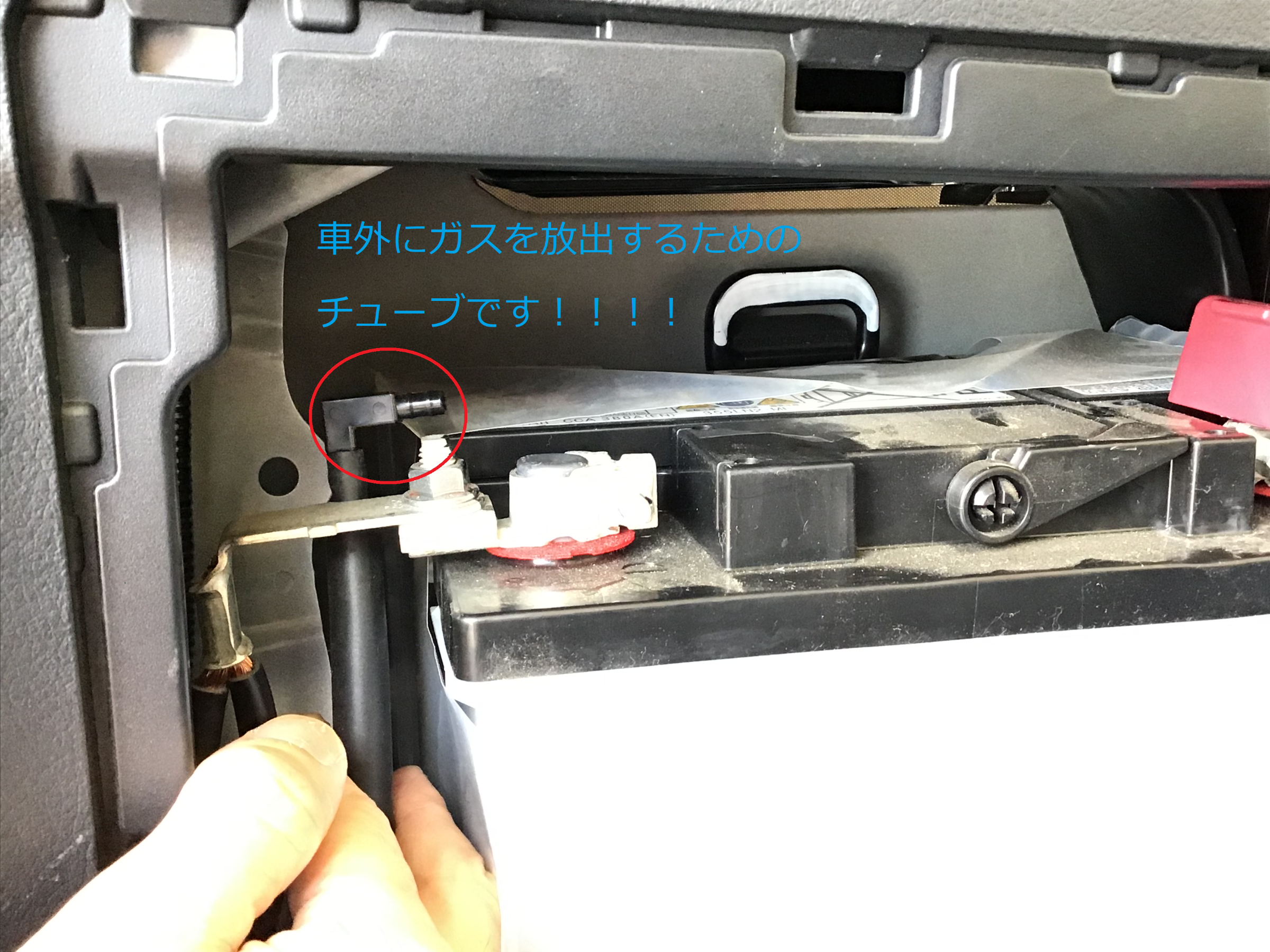 Toyota アルファード ３０系 ハイブリッド車の補機バッテリー交換 トヨタ アルファード ハイブリッド メンテナンス商品 その他 無料安全点検 サービス事例 タイヤ館 グリーンピットつくば研究学園 茨城県のタイヤ カー用品ショップ タイヤからはじまる