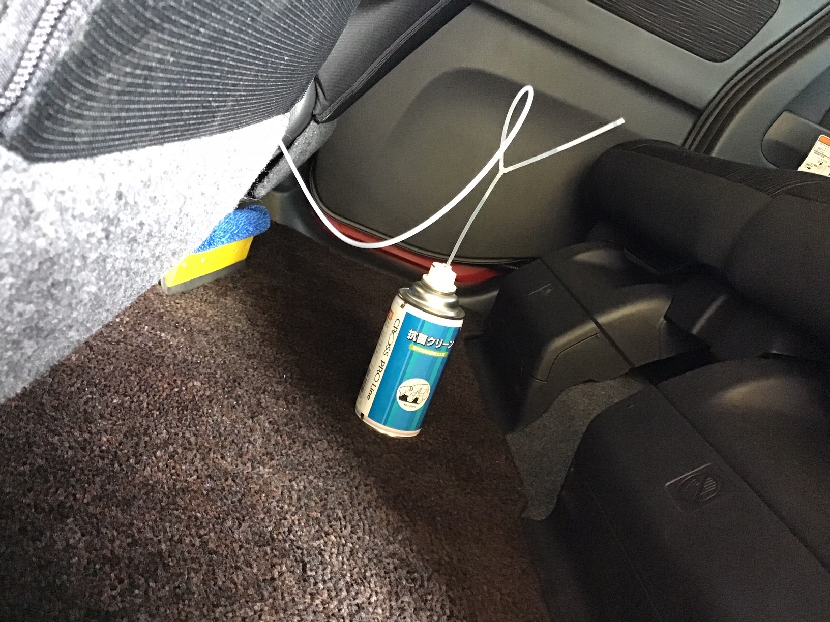 スタッフが撮影