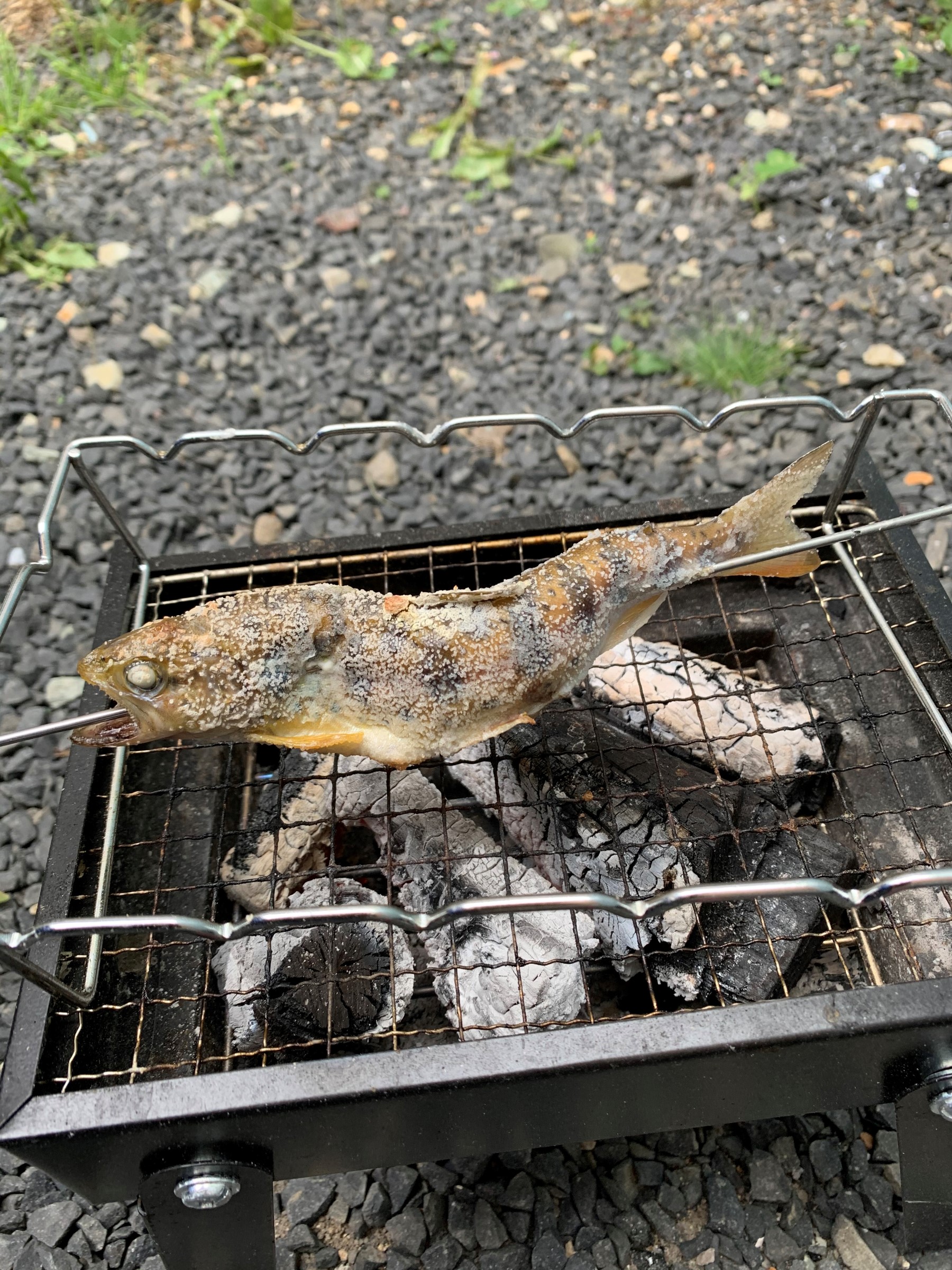 矢作の休日 興味のある方だけご覧ください スタッフ日記 タイヤ館 城西 山形県のタイヤ カー用品ショップ タイヤからはじまる トータルカーメンテナンス タイヤ館グループ