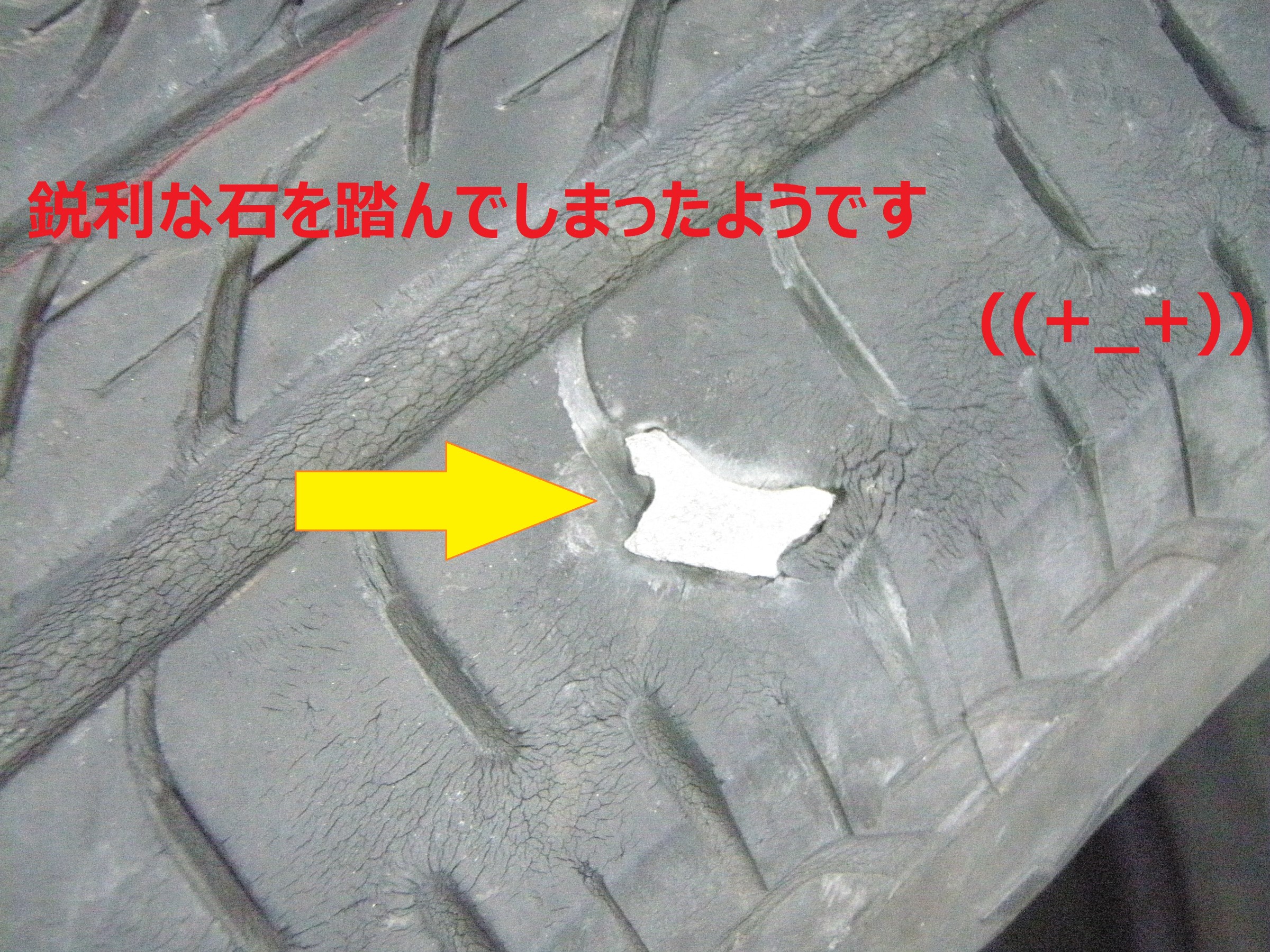 Honda フィット タイヤ交換 ホンダ フィット タイヤ タイヤ ホイール関連 タイヤ ホイール交換 ひたち多賀店作業紹介 タイヤ館 ひたち多賀 茨城県のタイヤ カー用品ショップ タイヤからはじまる トータルカーメンテナンス タイヤ館グループ