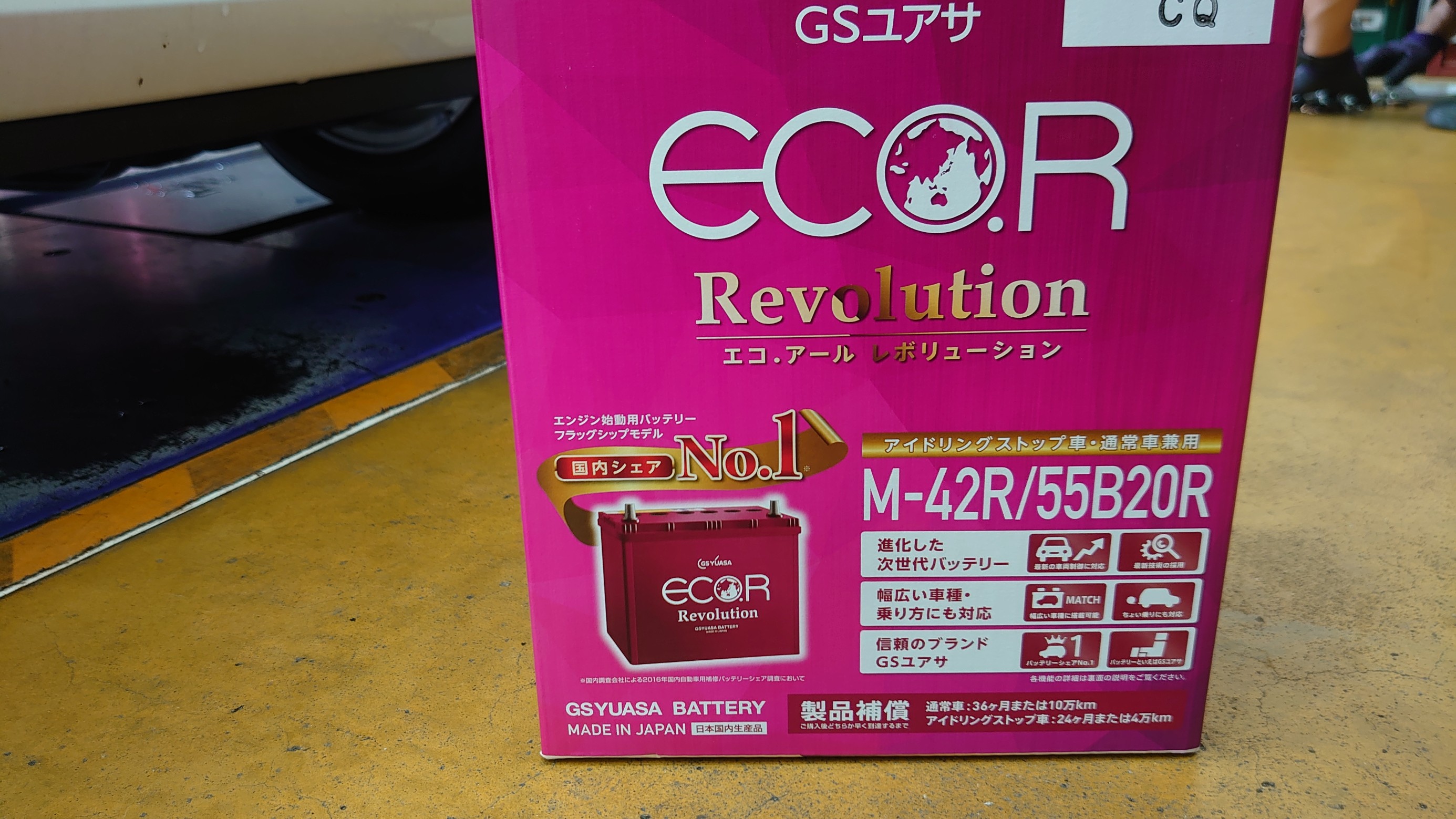 スタッフ撮影写真