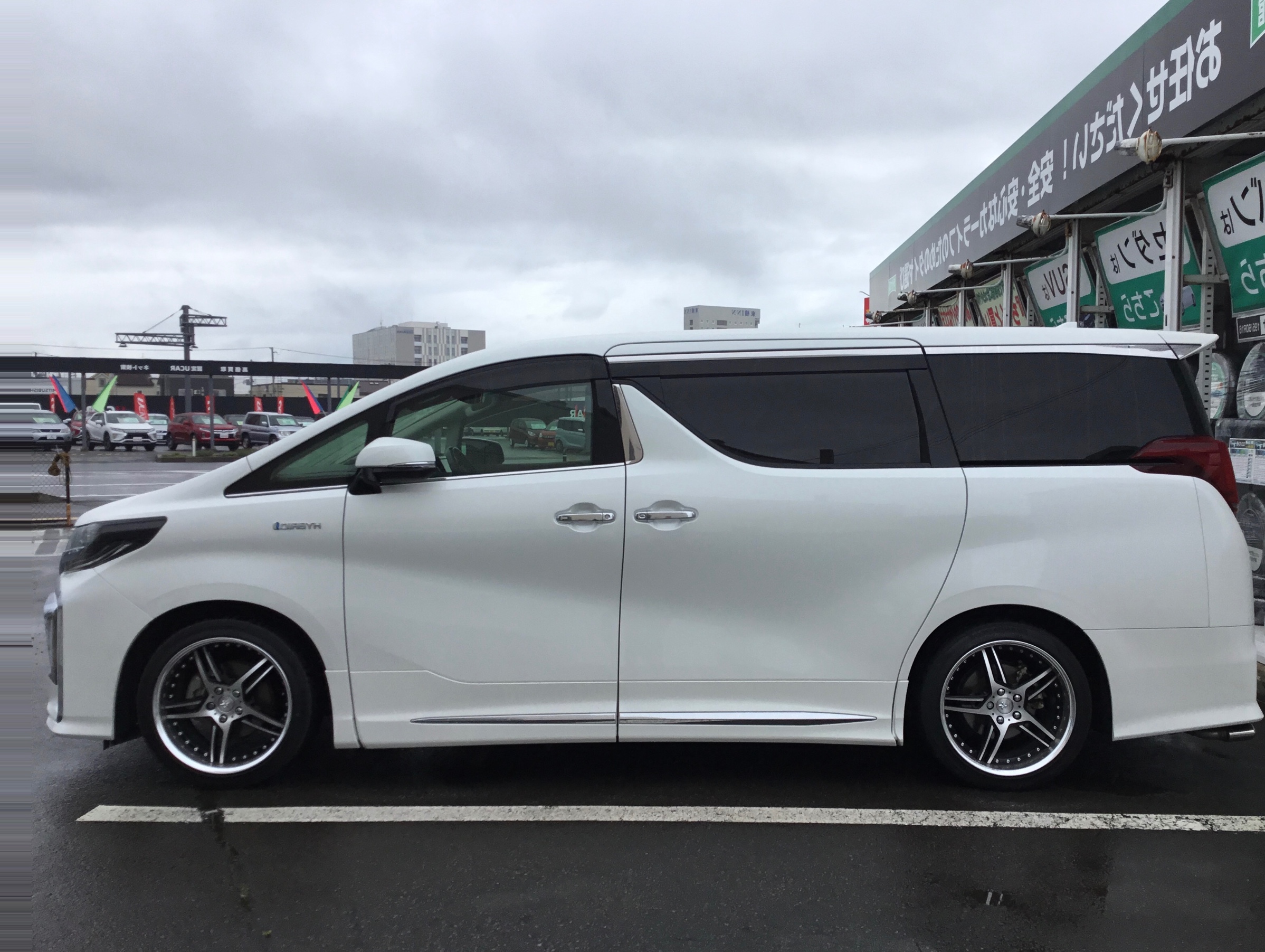 スタッフが撮影