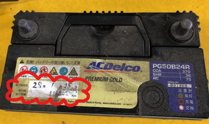 スタッフ撮影　もこもこはペイントです。