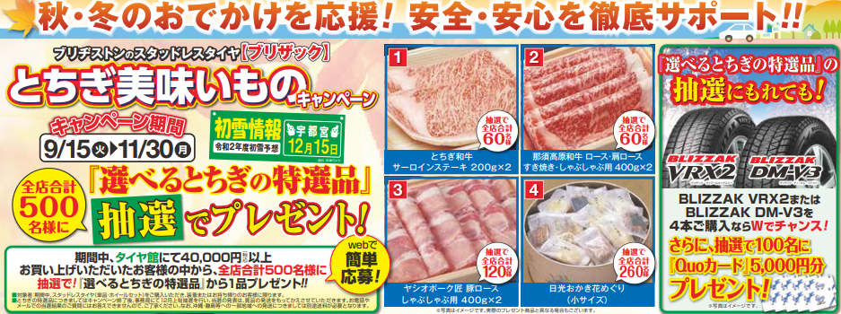 作成チラシより。公取確認済です。