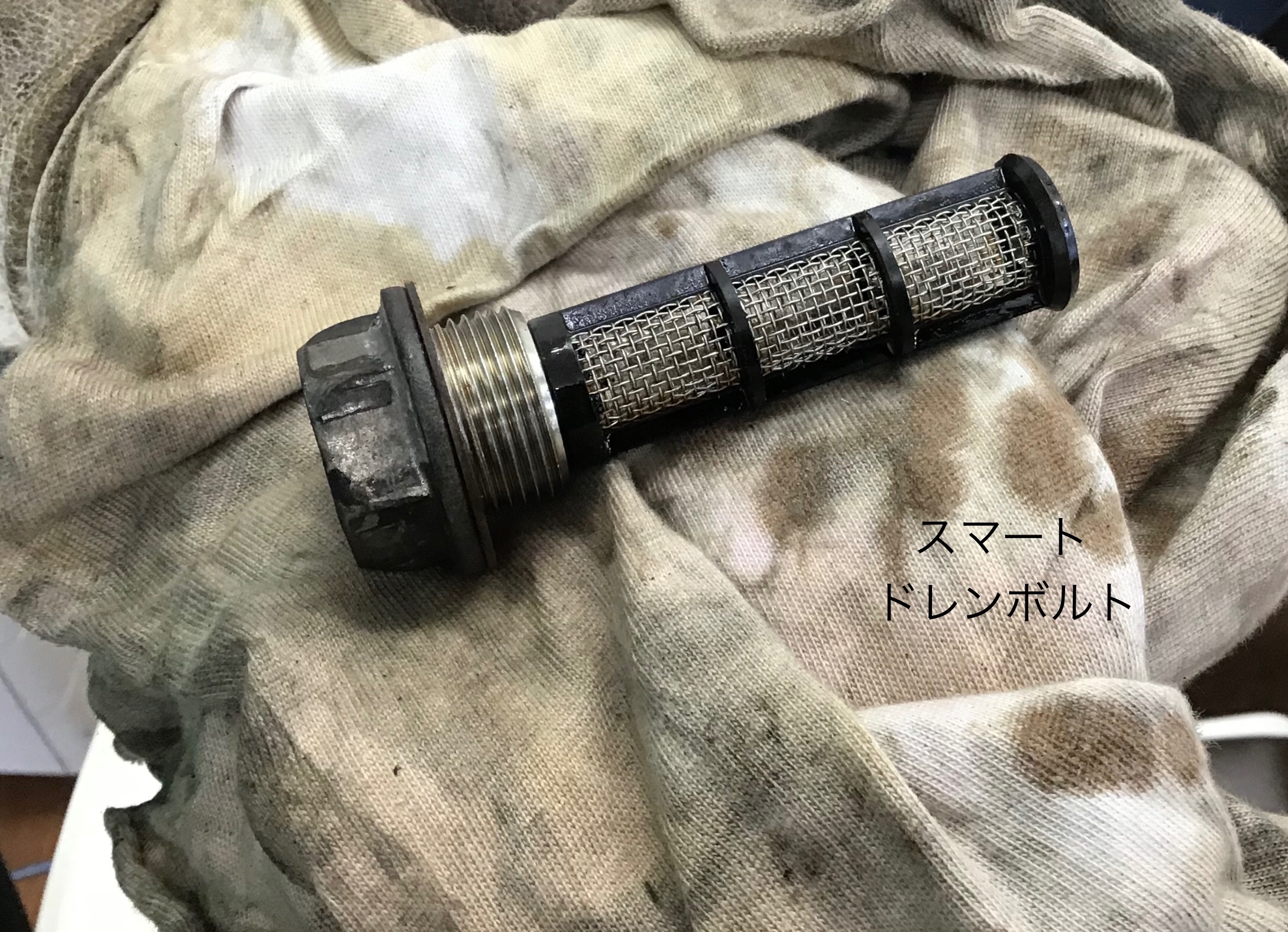 スタッフ撮影