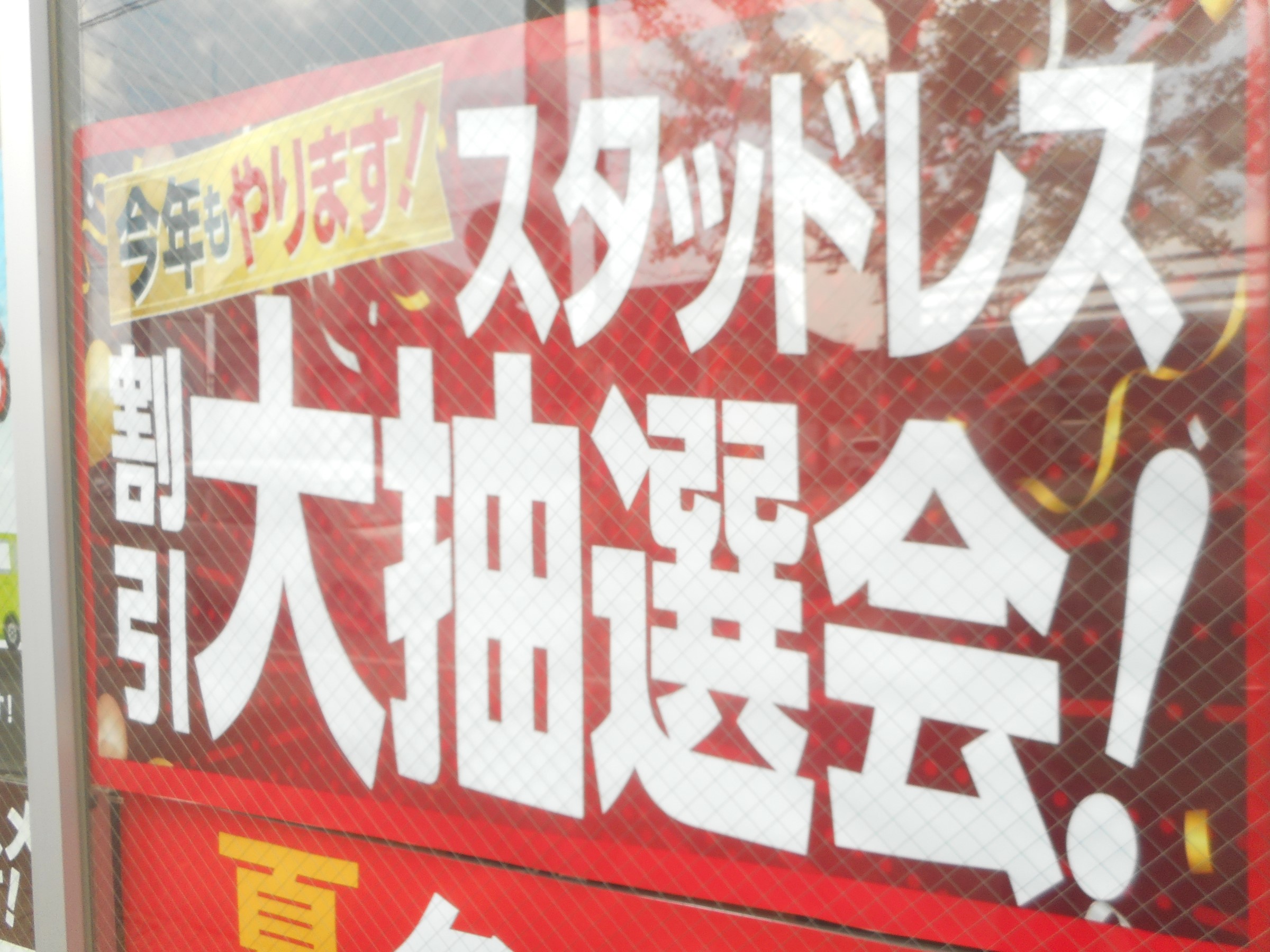 スタッフが撮影