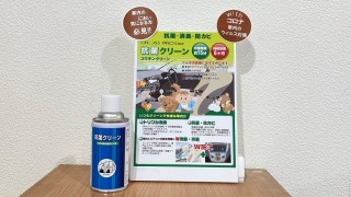動画