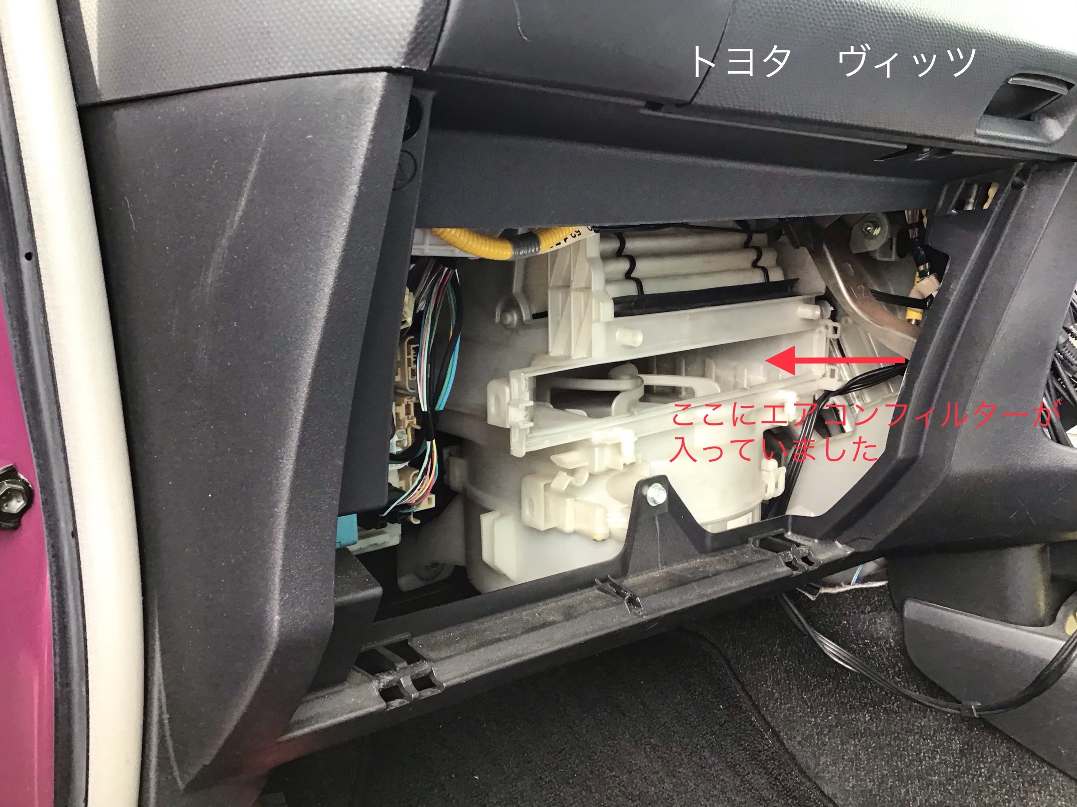 スタッフ撮影