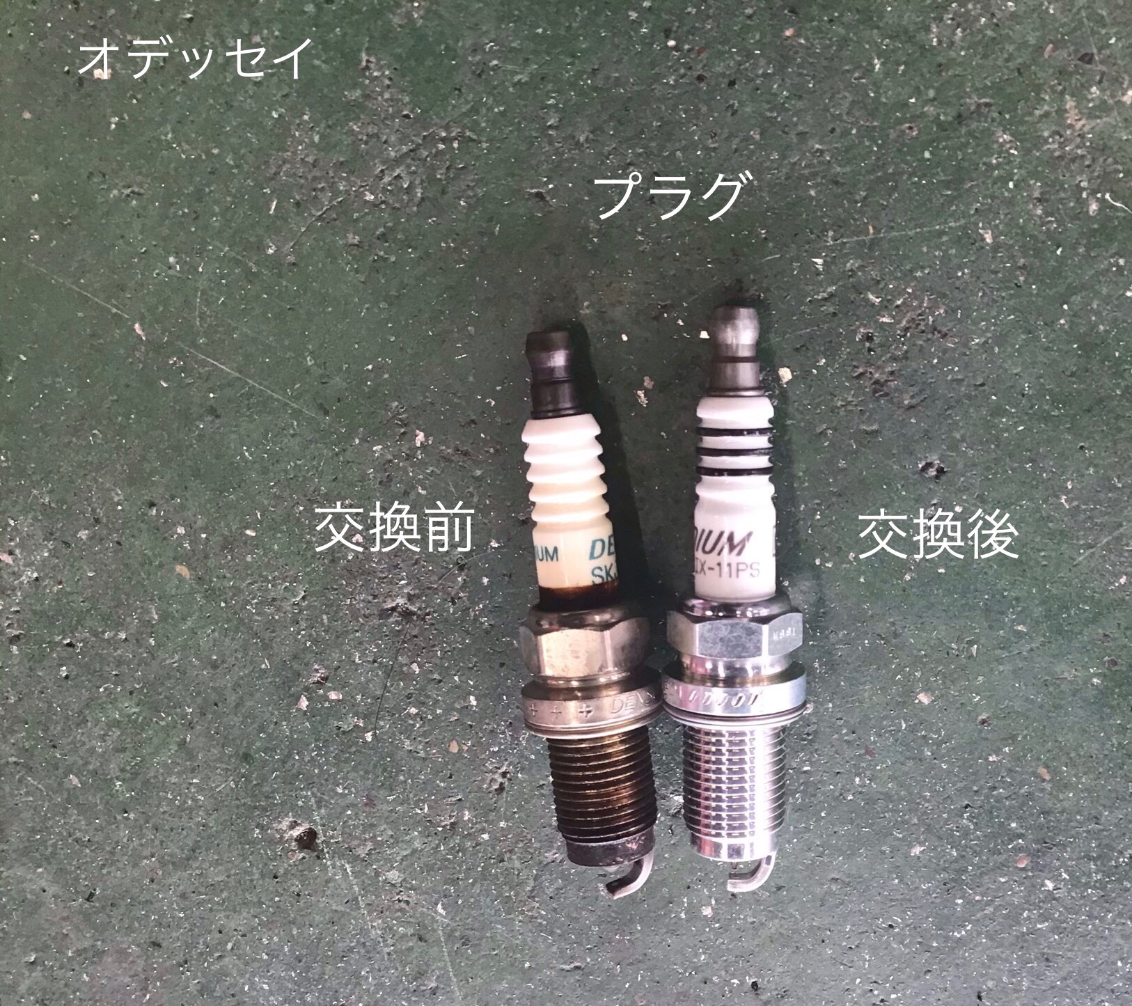 スタッフ撮影