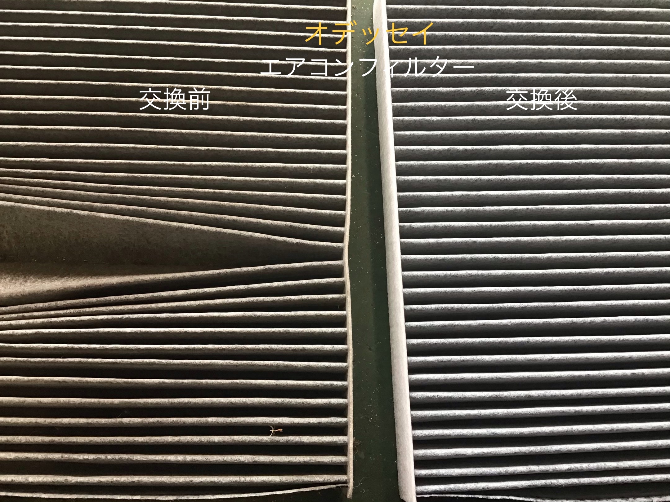 スタッフ撮影