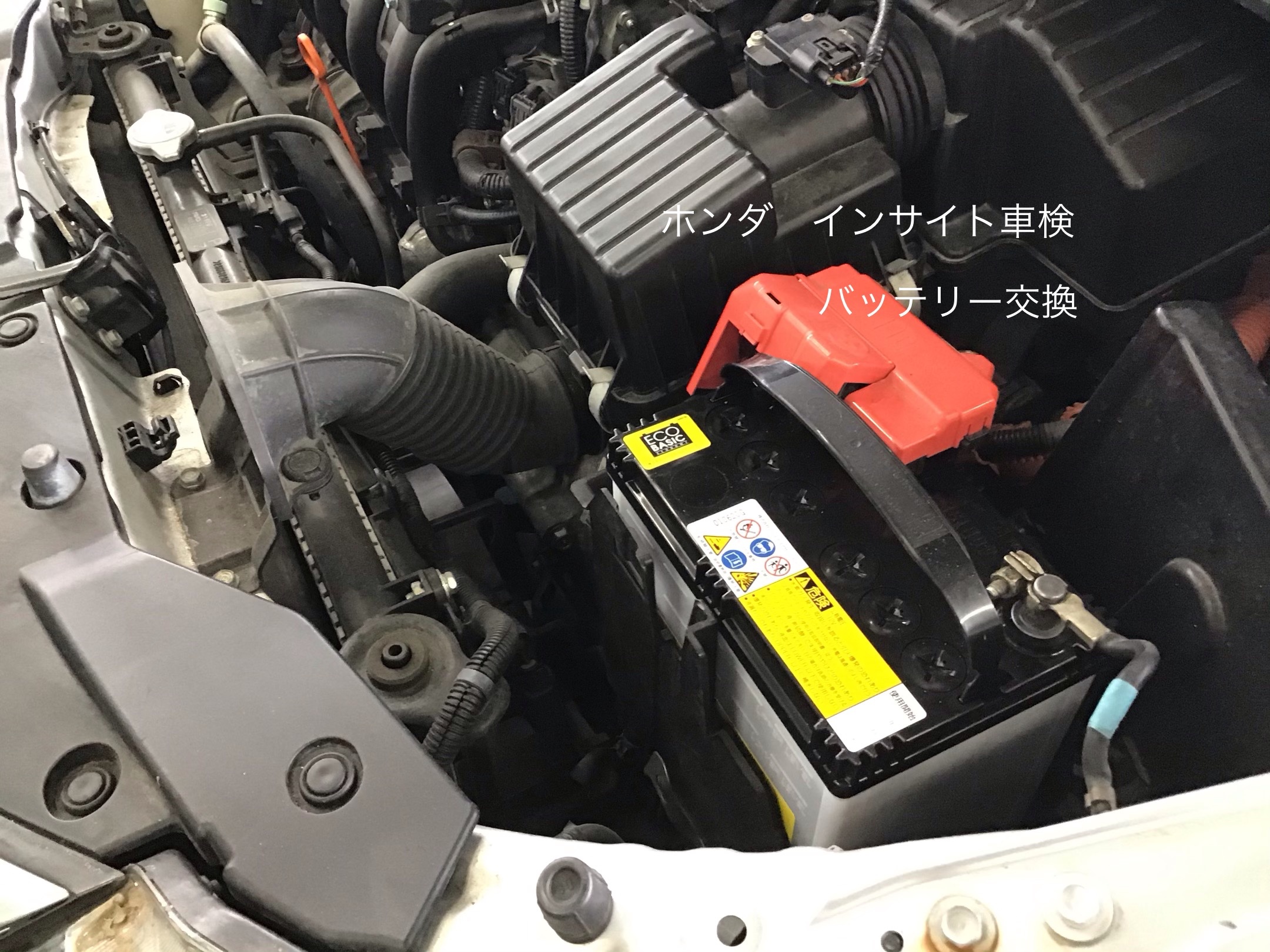 スタッフ撮影