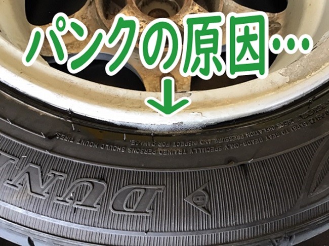 スタッフが撮影加工した画像