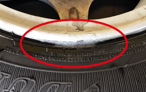 スタッフが撮影加工した画像