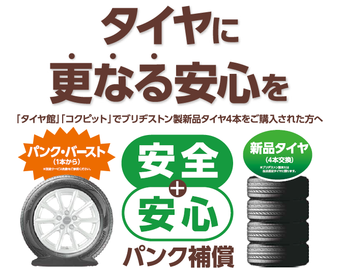 ＢＲＪさまよりいただいた資料を切り取って画像保存しました。