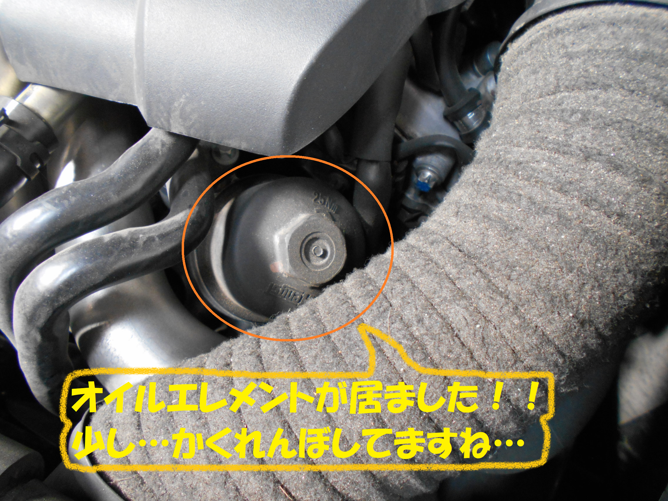 大人気定番商品 ベンツ Sクラス W221 221095用 純正エンジンオイル オイルフィルターセット Mercedes-Benz メルセデス  ☆送料無料☆ 当日発送可能 弊社在庫品の場合 fucoa.cl