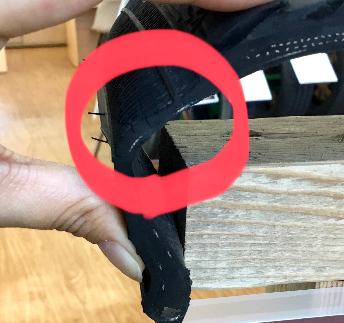 スタッフが撮影加工