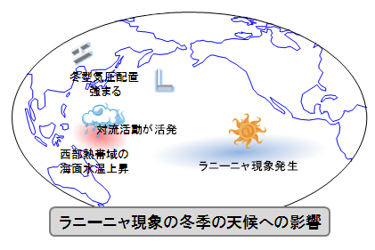 は 寒い 今年