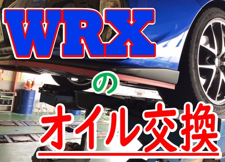 スタッフが撮影加工した画像