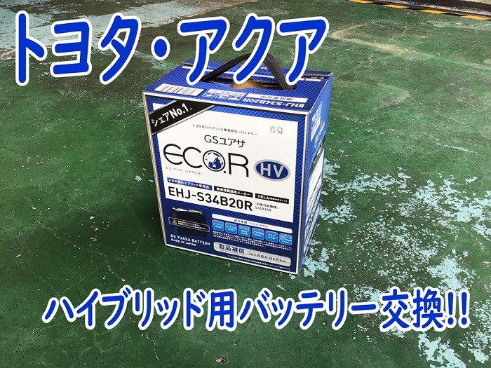 スタッフが撮影した画像