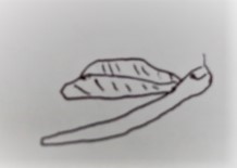 スタッフ書きました。