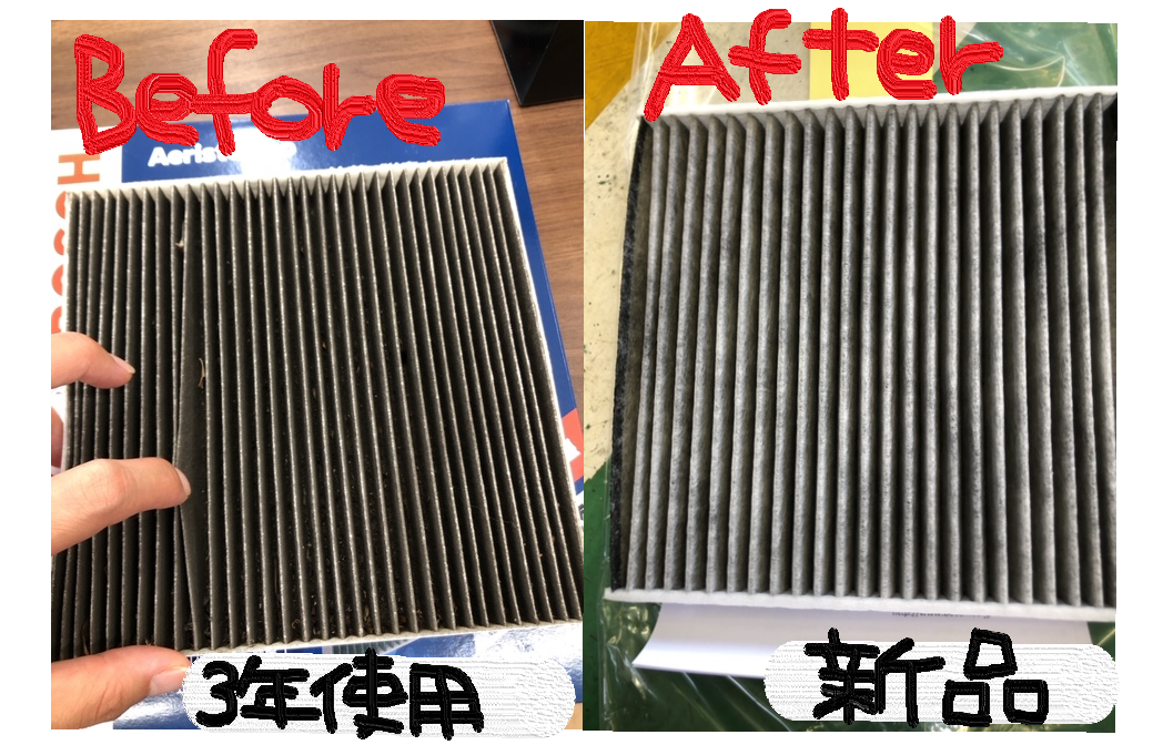 スタッフ撮影 ペイントで文字追加しました。