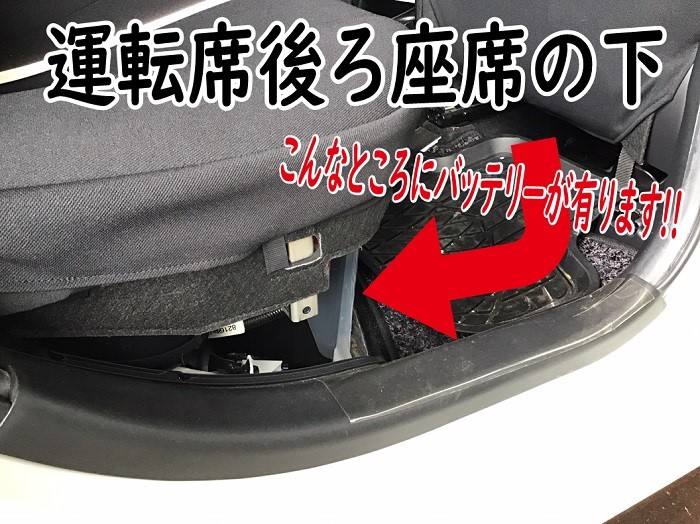 スタッフが撮影加工した画像