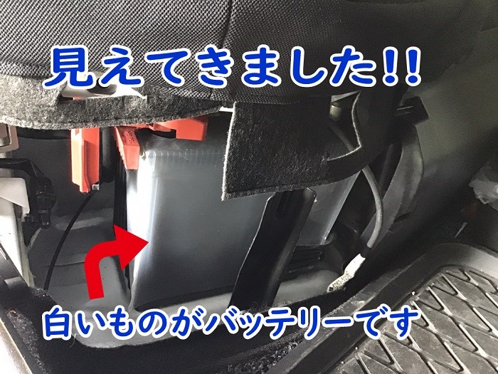 スタッフが撮影加工した画像