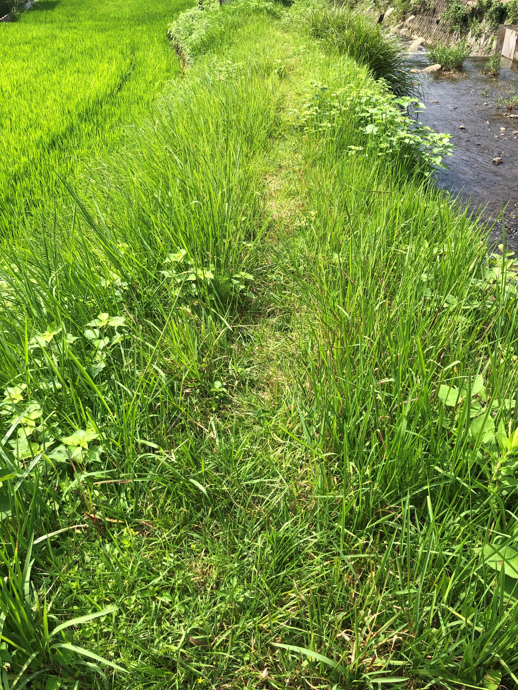 自分が撮影してます