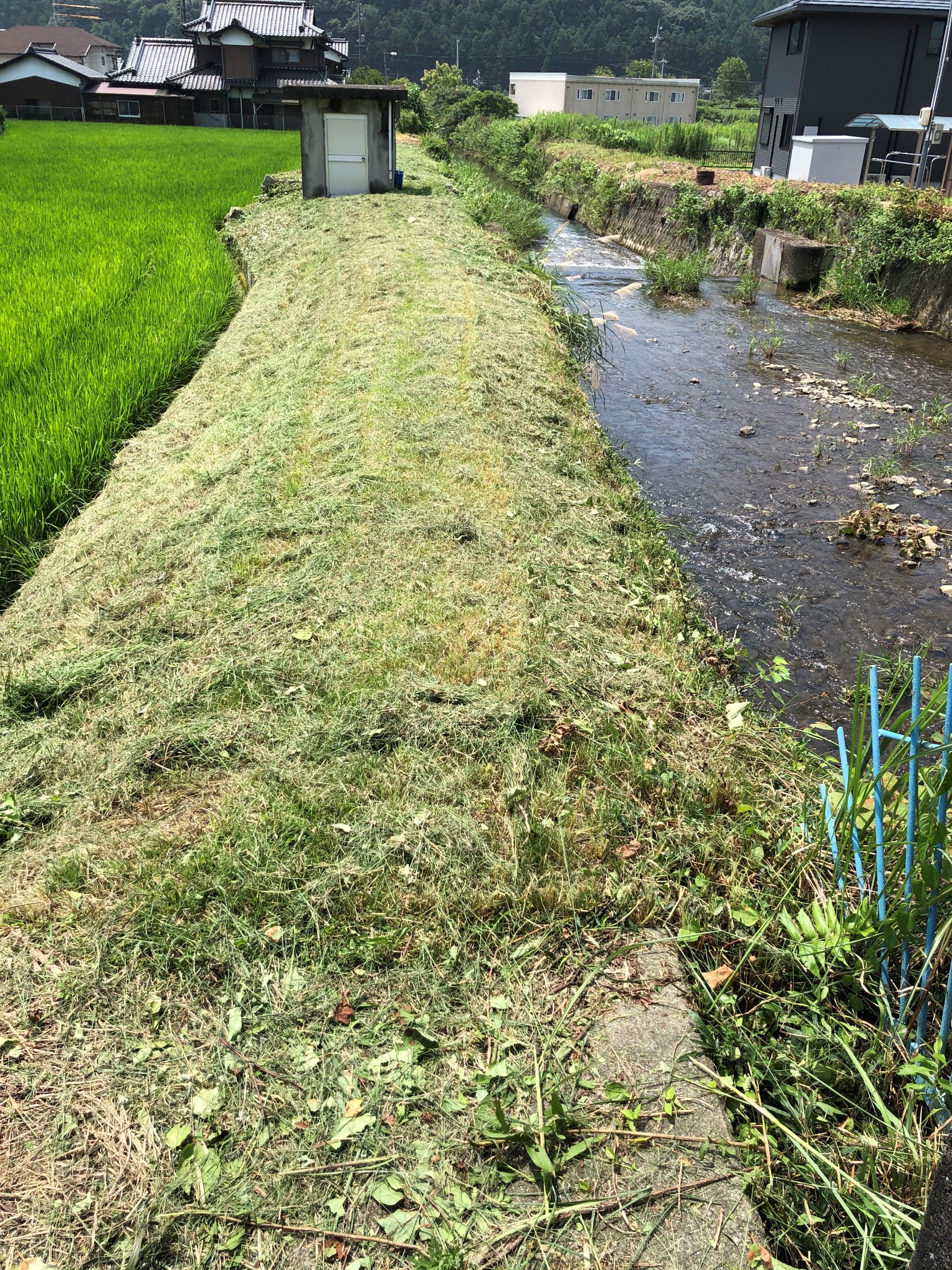 自分が撮影してます