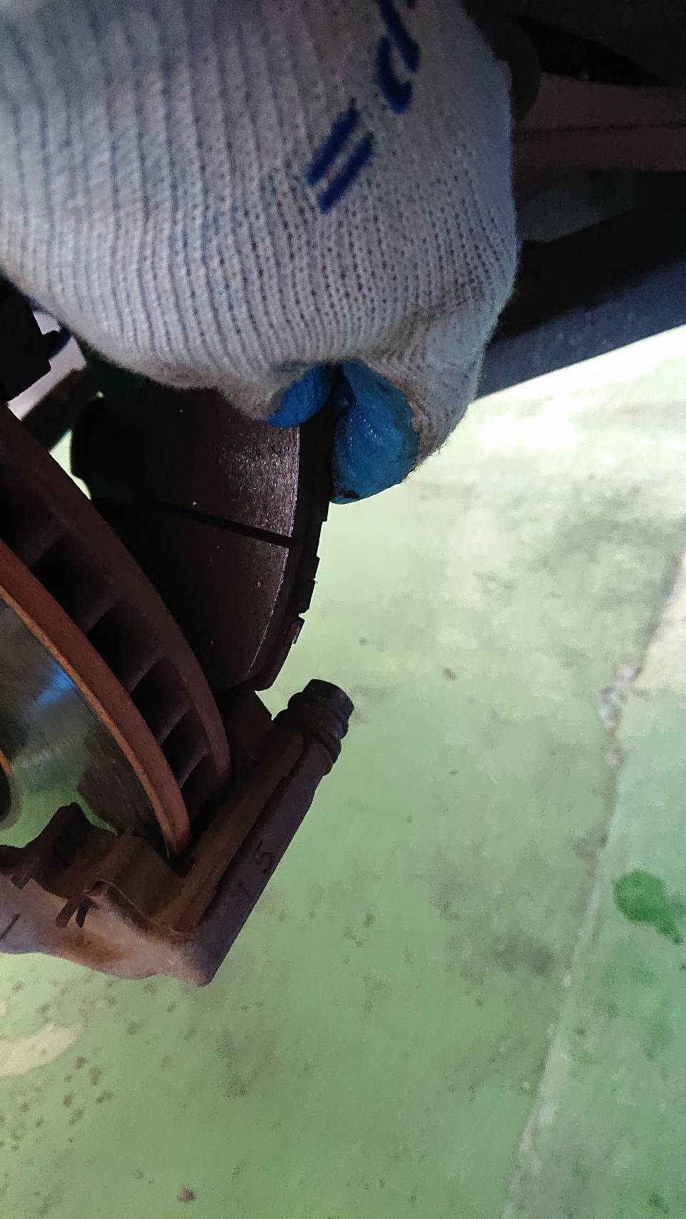 スタッフが撮影した画像です