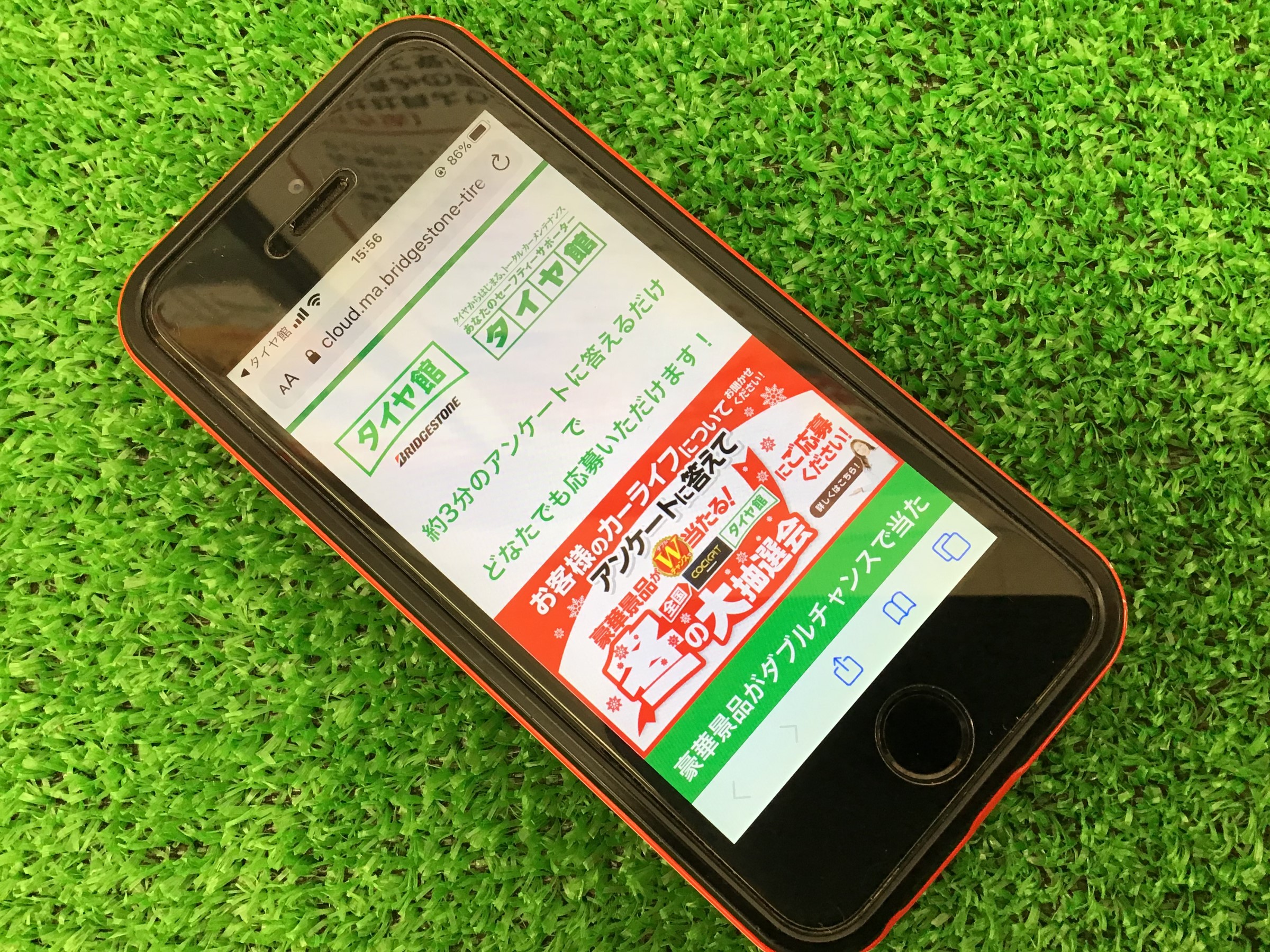 スタッフ撮影写真
