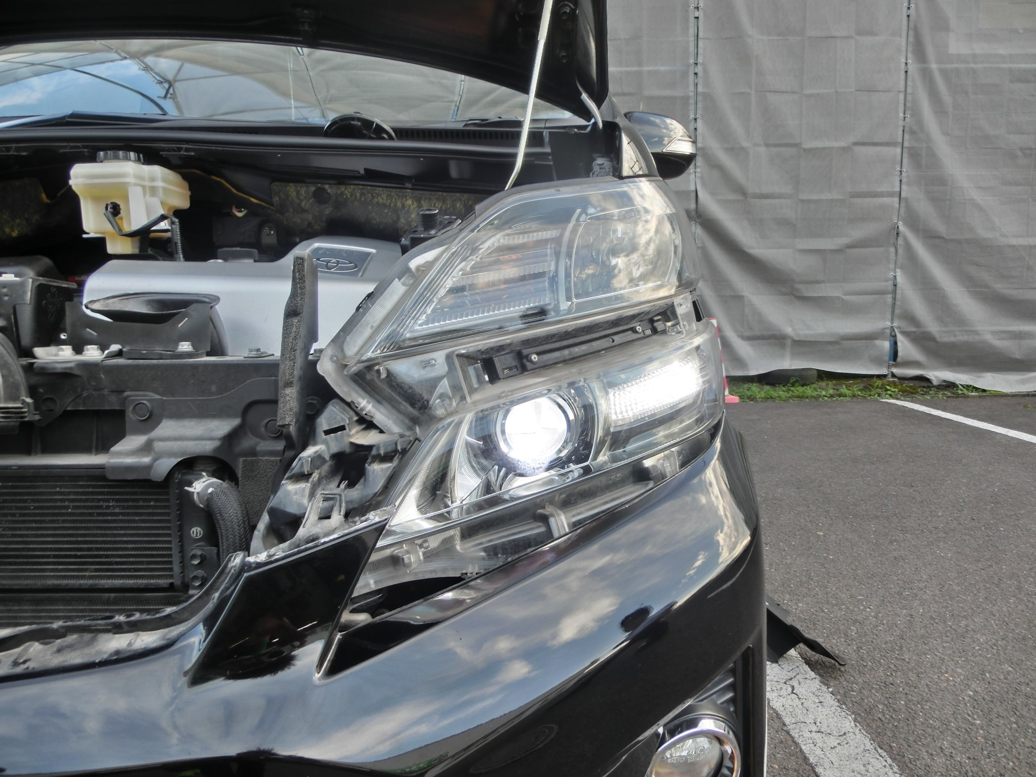 商舗 ヴェルファイア Z Ggh Anhw 25w Fog Lamp Kit 4灯 Hid 8000k Fucoa Cl