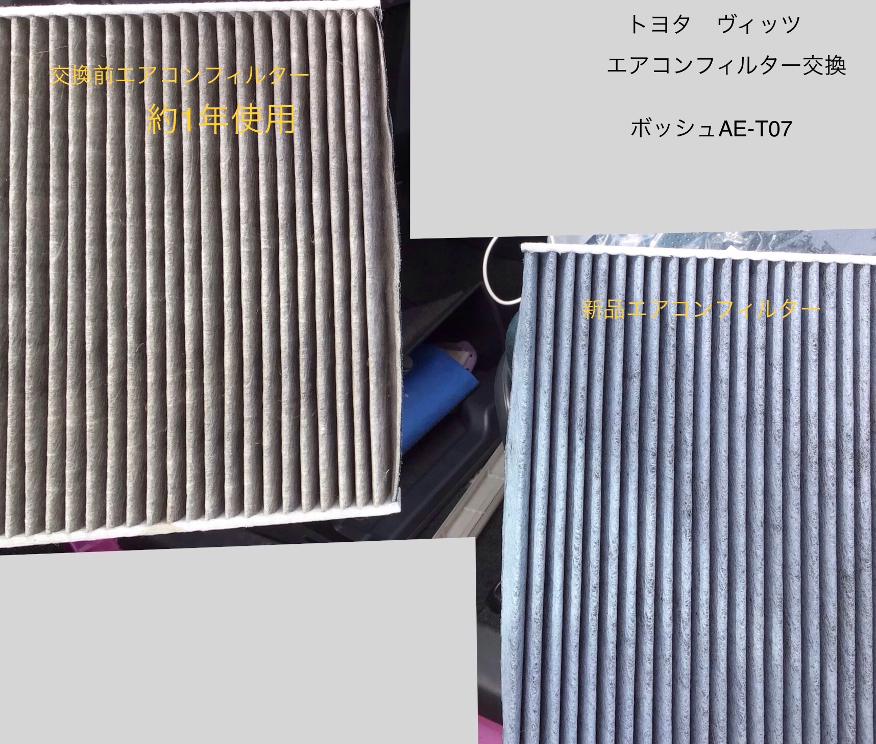 スタッフ撮影