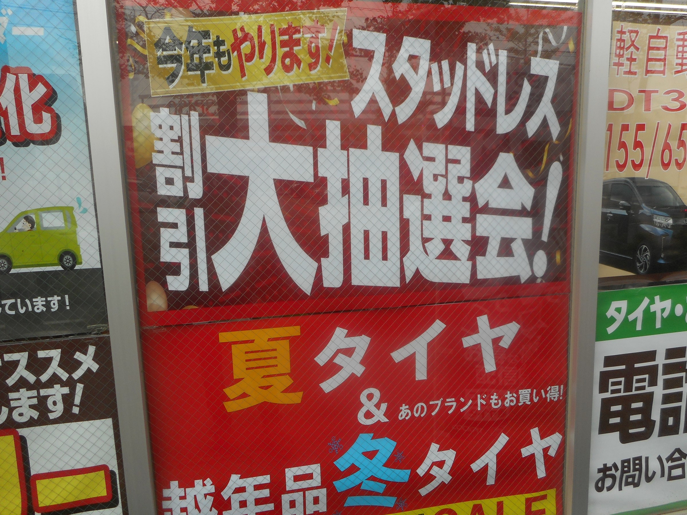 スタッフが撮影