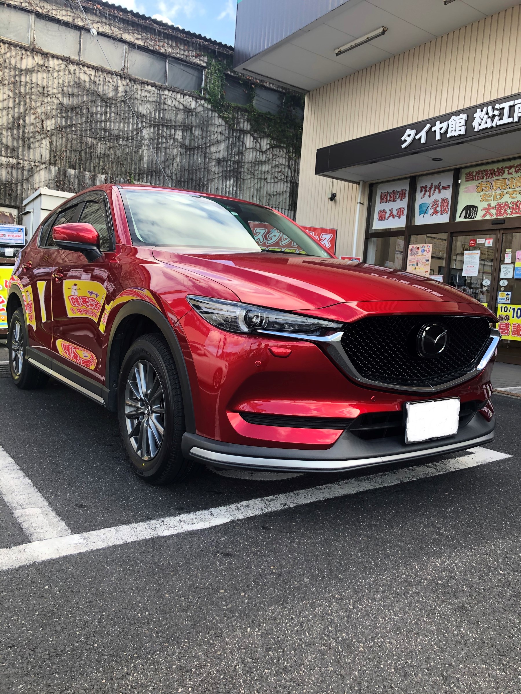 スタッフが撮影した写真です