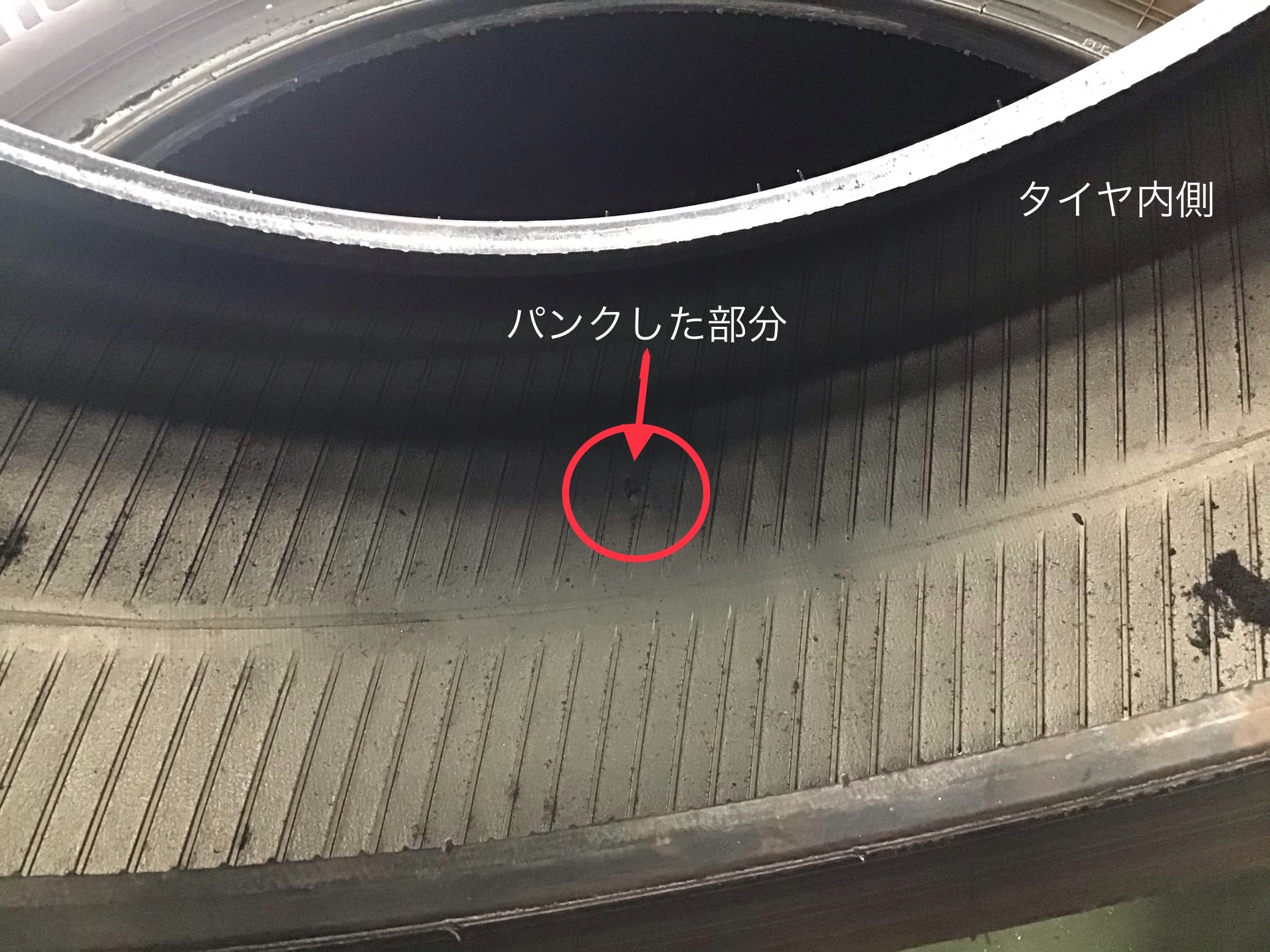 スタッフ撮影