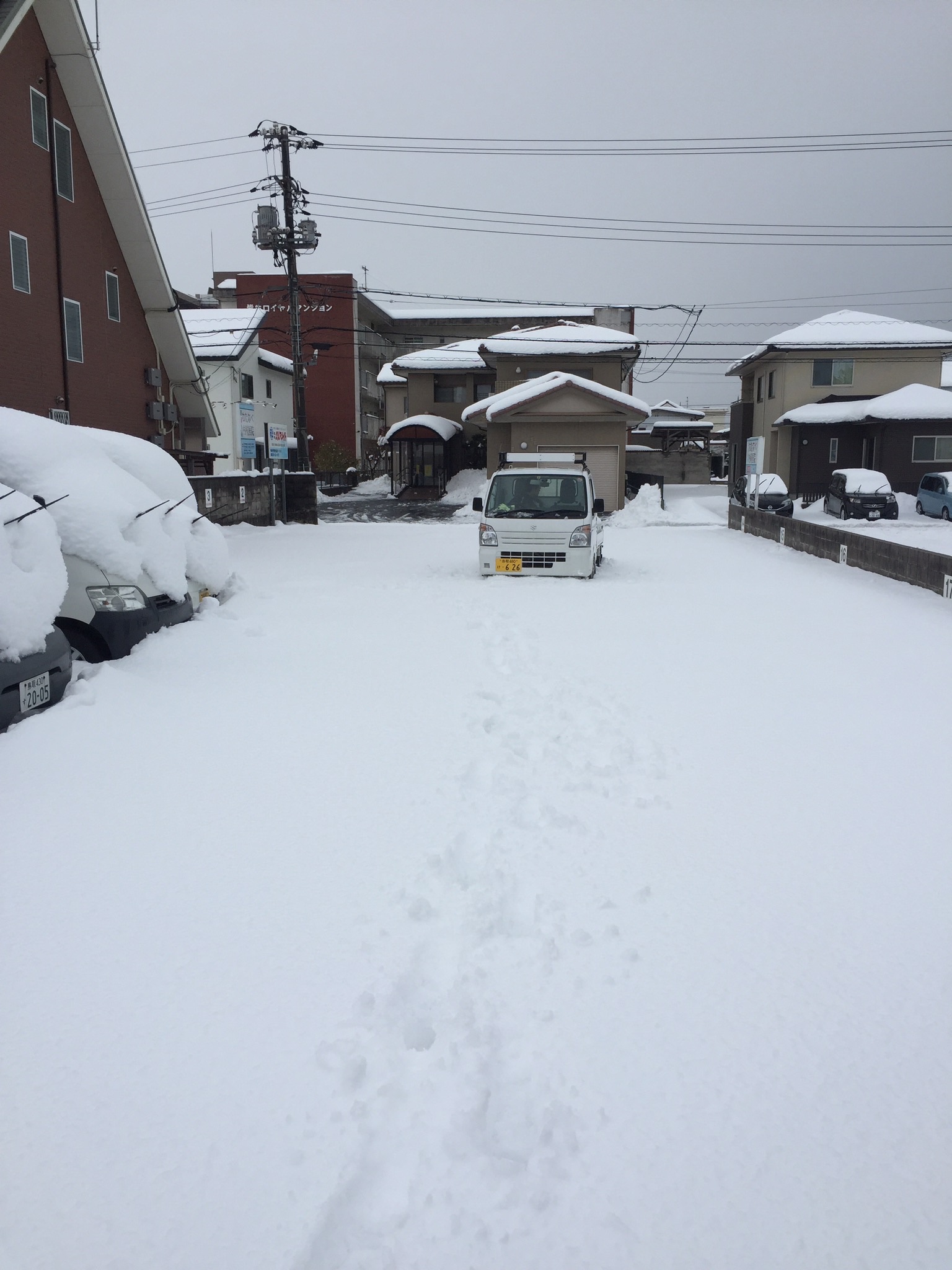 スタッフが撮影した写真です