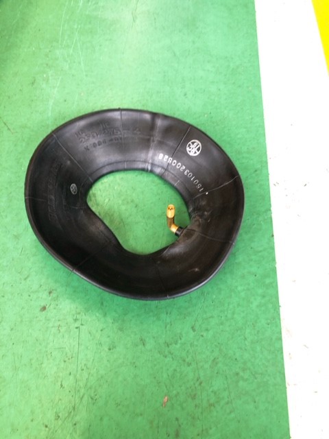 スタッフ撮影