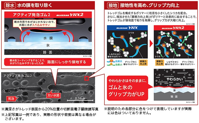 本部雛型画像