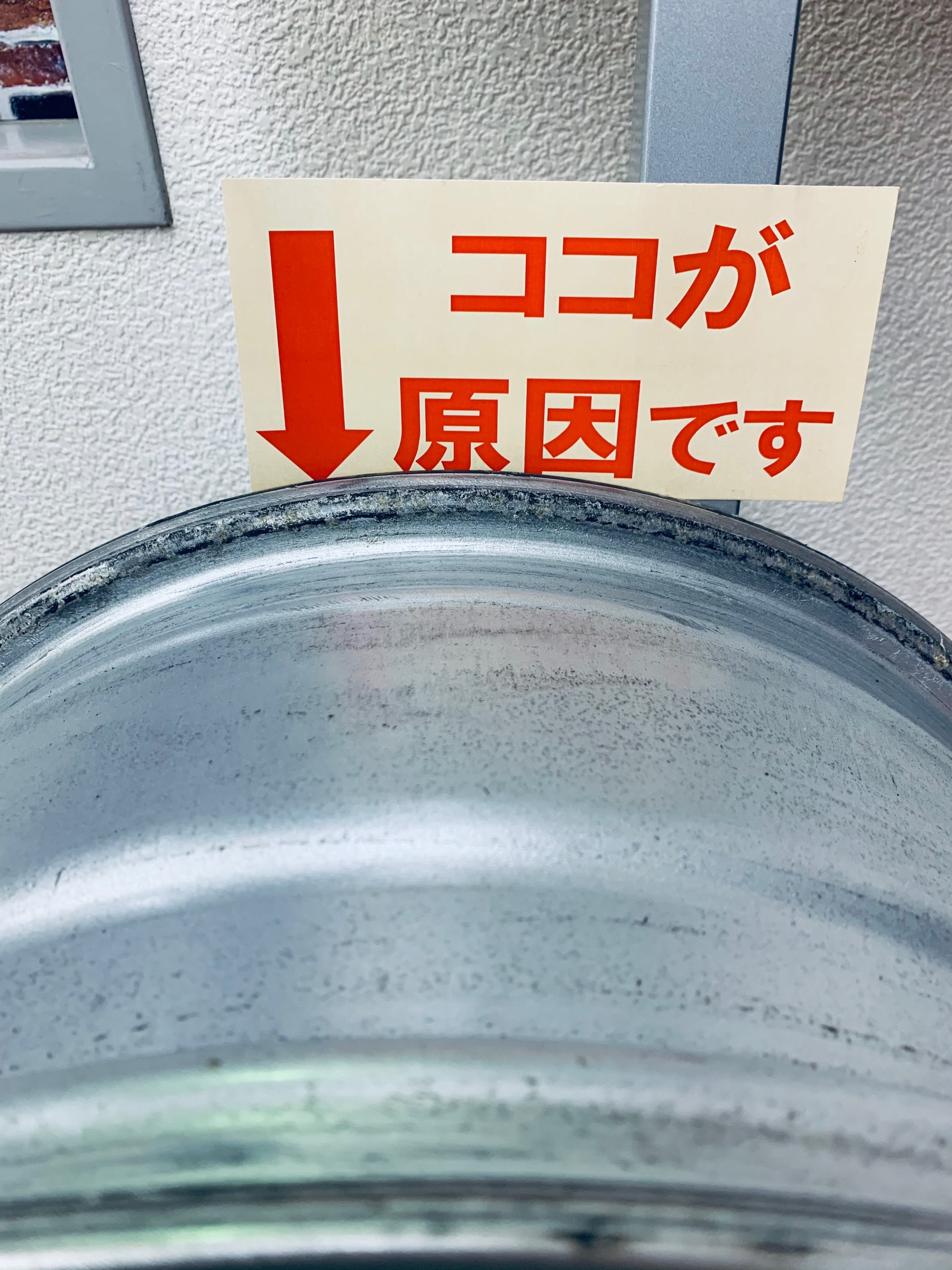 スタッフが撮影