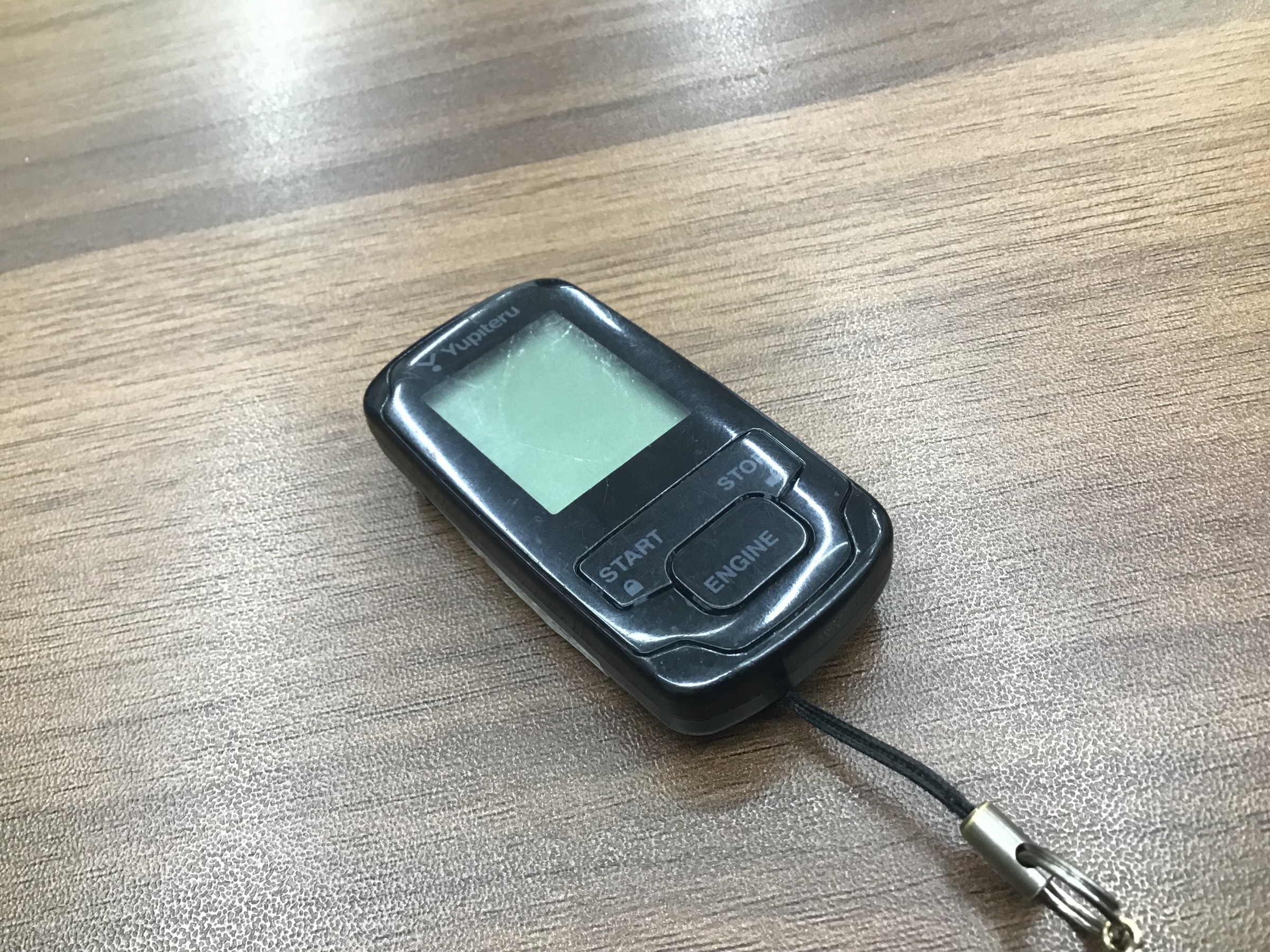 スタッフ撮影です