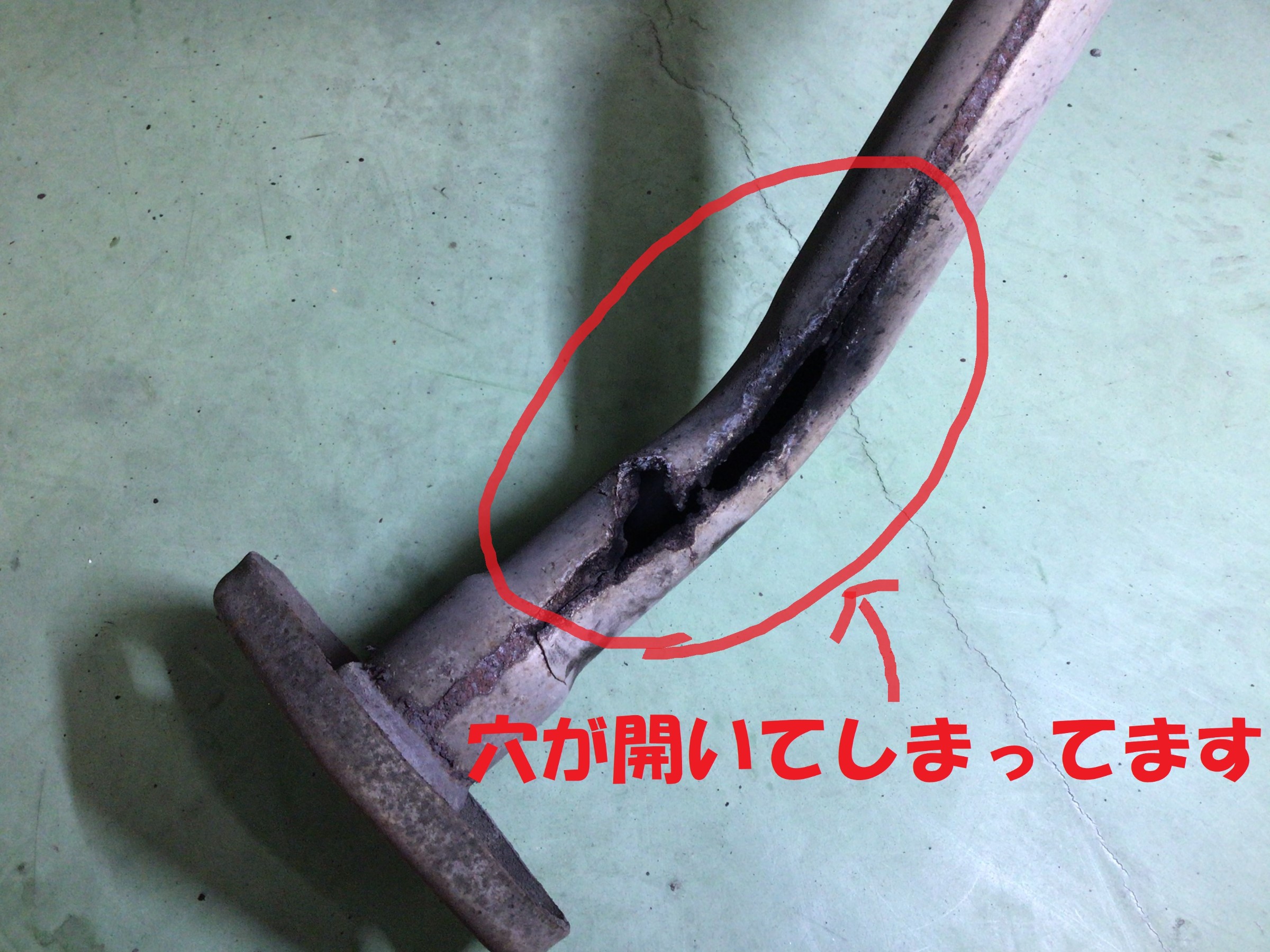 スタッフ撮影分