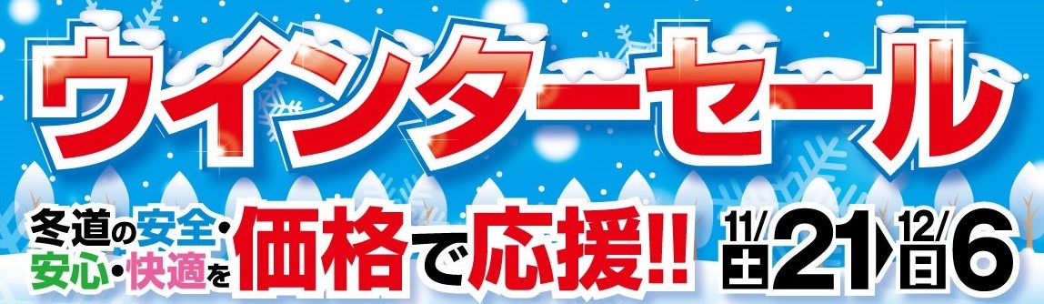 画像はチラシ制作会社作成　公取確認済