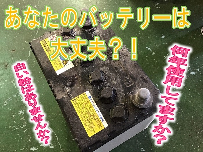スタッフが撮影加工した画像