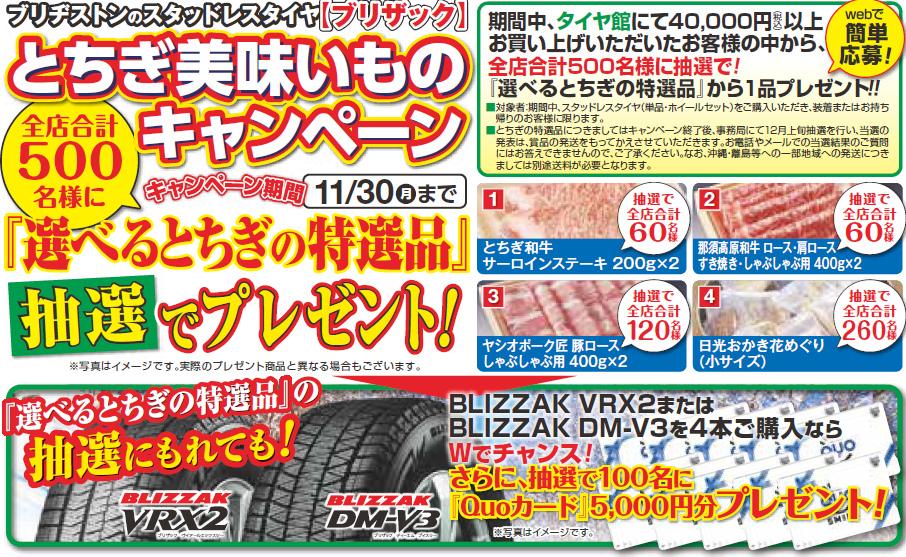 作成チラシより。公取確認済です。