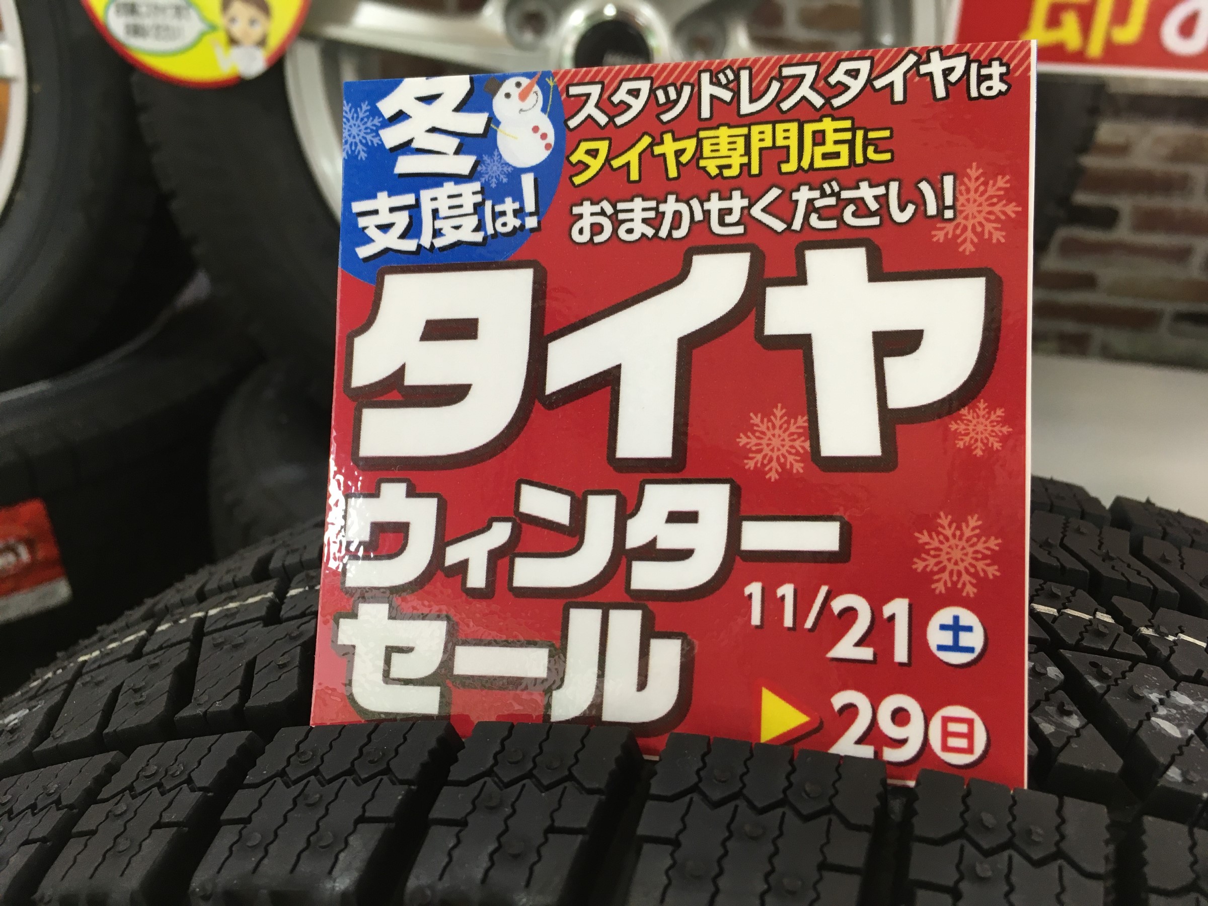スタッフ撮影画像